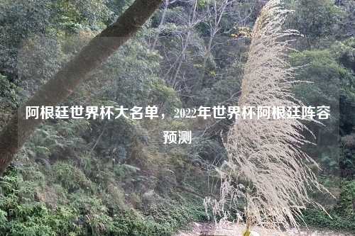 阿根廷世界杯大名单，2022年世界杯阿根廷阵容预测