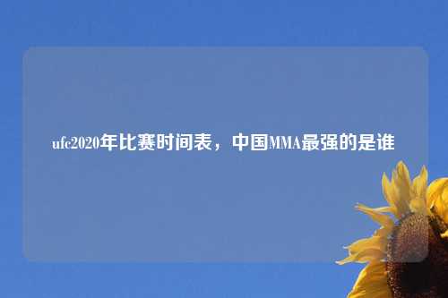 ufc2020年比赛时间表，中国MMA最强的是谁