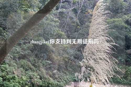 zhangjike(你支持判无期徒刑吗)