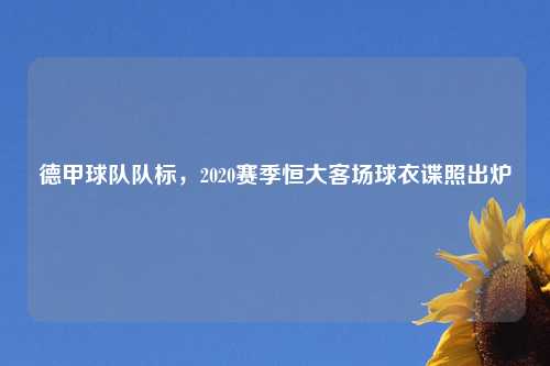 德甲球队队标，2020赛季恒大客场球衣谍照出炉