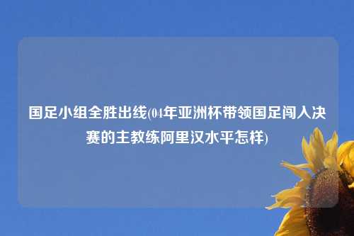 国足小组全胜出线(04年亚洲杯带领国足闯入决赛的主教练阿里汉水平怎样)