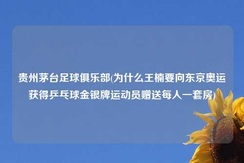 贵州茅台足球俱乐部(为什么王楠要向东京奥运获得乒乓球金银牌运动员赠送每人一套房)