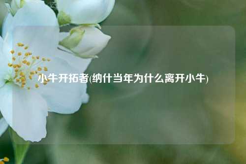 小牛开拓者(纳什当年为什么离开小牛)