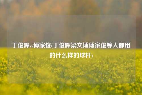 丁俊晖vs傅家俊(丁俊晖梁文博傅家俊等人都用的什么样的球杆)