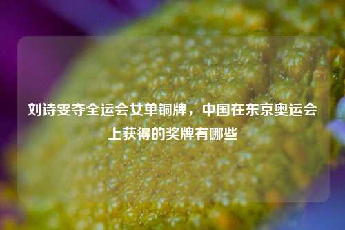 刘诗雯夺全运会女单铜牌，中国在东京奥运会上获得的奖牌有哪些