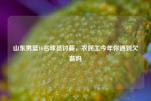 山东男篮16名球员讨薪，农民工今年你遇到欠薪吗