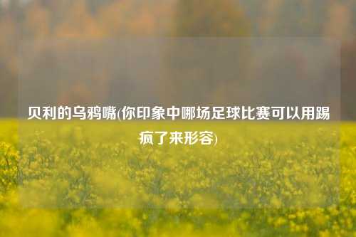 贝利的乌鸦嘴(你印象中哪场足球比赛可以用踢疯了来形容)