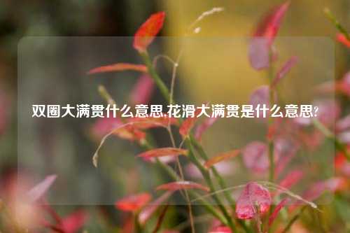 双圈大满贯什么意思,花滑大满贯是什么意思?