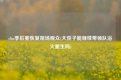 cba季后赛恢复现场观众(大侄子能继续带领队浴火重生吗)