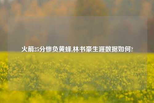 火箭25分惨负黄蜂,林书豪生涯数据如何?