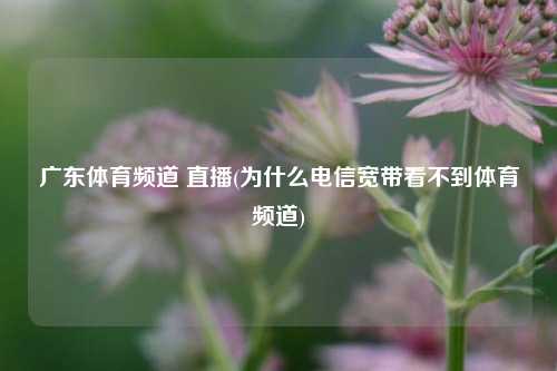 广东体育频道 直播(为什么电信宽带看不到体育频道)