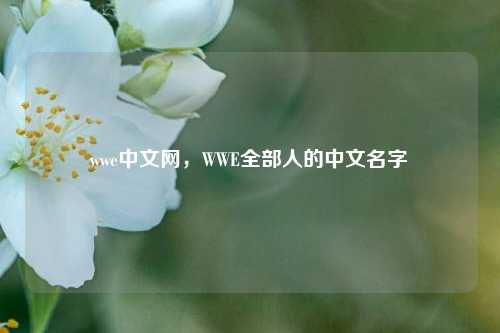 wwe中文网，WWE全部人的中文名字