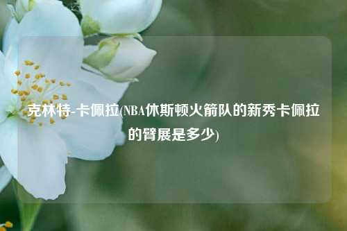 克林特-卡佩拉(NBA休斯顿火箭队的新秀卡佩拉的臂展是多少)