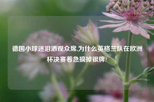 德国小球迷泪洒观众席,为什么英格兰队在欧洲杯决赛着急摘掉银牌?