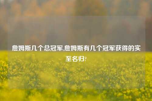 詹姆斯几个总冠军,詹姆斯有几个冠军获得的实至名归?