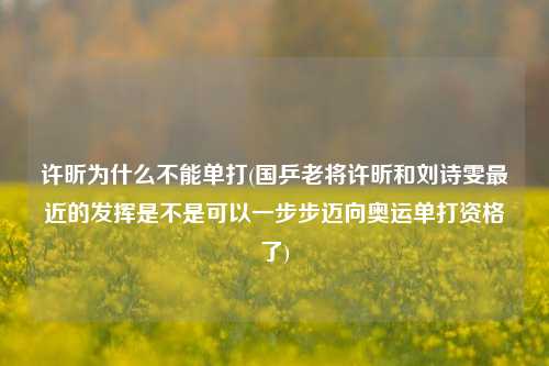 许昕为什么不能单打(国乒老将许昕和刘诗雯最近的发挥是不是可以一步步迈向奥运单打资格了)