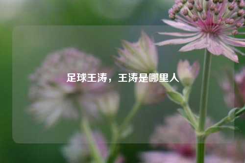 足球王涛，王涛是哪里人