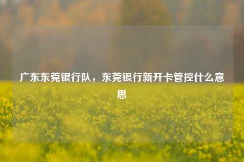 广东东莞银行队，东莞银行新开卡管控什么意思