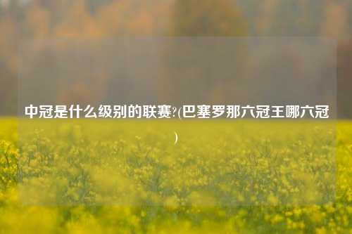 中冠是什么级别的联赛?(巴塞罗那六冠王哪六冠)