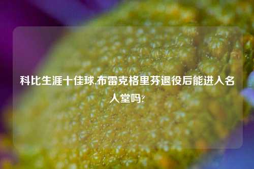 科比生涯十佳球,布雷克格里芬退役后能进入名人堂吗?