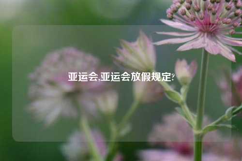 亚运会,亚运会放假规定?