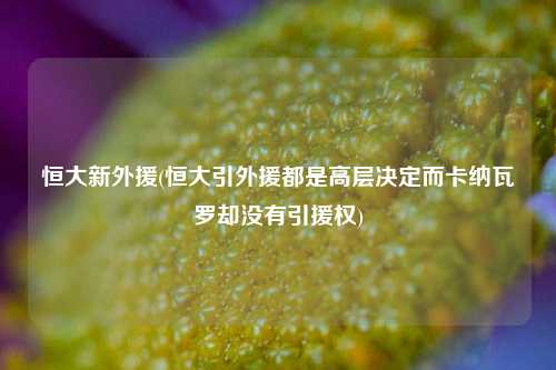 恒大新外援(恒大引外援都是高层决定而卡纳瓦罗却没有引援权)