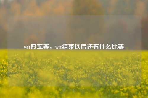 wtt冠军赛，wtt结束以后还有什么比赛