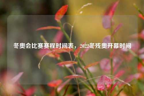 冬奥会比赛赛程时间表，2022冬残奥开幕时间