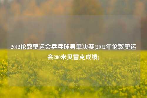 2012伦敦奥运会乒乓球男单决赛(2012年伦敦奥运会200米贝雷克成绩)