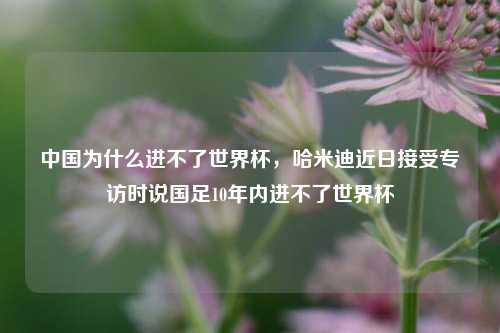 中国为什么进不了世界杯，哈米迪近日接受专访时说国足10年内进不了世界杯