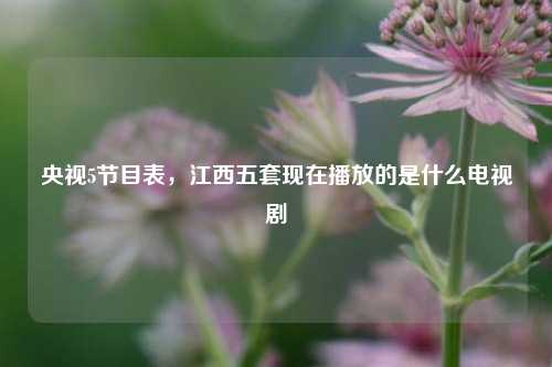 央视5节目表，江西五套现在播放的是什么电视剧