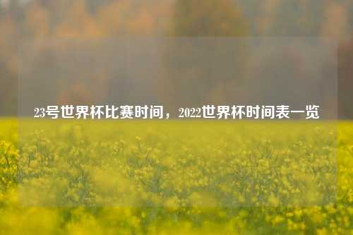 23号世界杯比赛时间，2022世界杯时间表一览