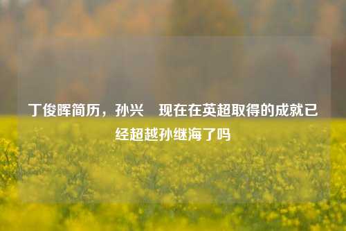 丁俊晖简历，孙兴慜现在在英超取得的成就已经超越孙继海了吗