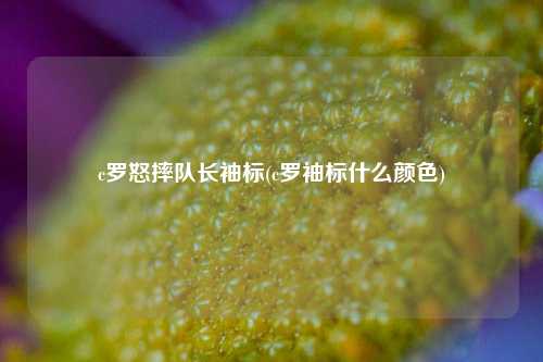 c罗怒摔队长袖标(c罗袖标什么颜色)