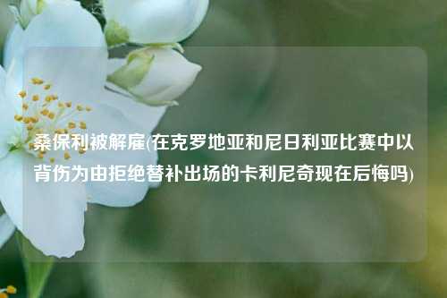 桑保利被解雇(在克罗地亚和尼日利亚比赛中以背伤为由拒绝替补出场的卡利尼奇现在后悔吗)