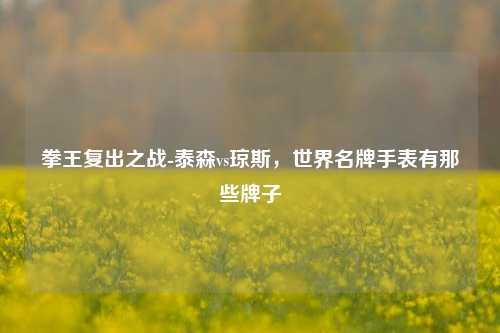 拳王复出之战-泰森vs琼斯，世界名牌手表有那些牌子