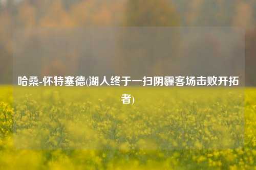 哈桑-怀特塞德(湖人终于一扫阴霾客场击败开拓者)