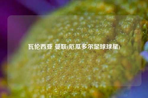 瓦伦西亚 曼联(厄瓜多尔足球球星)