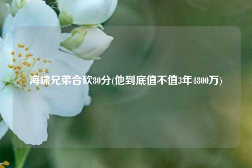 海啸兄弟合砍80分(他到底值不值3年4800万)