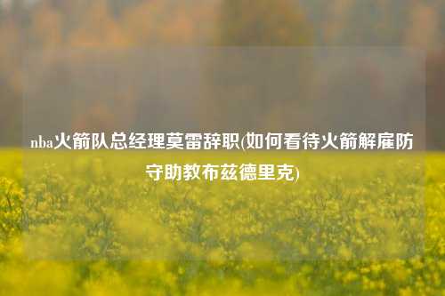 nba火箭队总经理莫雷辞职(如何看待火箭解雇防守助教布兹德里克)