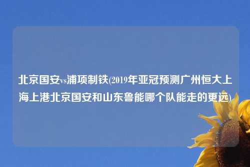 北京国安vs浦项制铁(2019年亚冠预测广州恒大上海上港北京国安和山东鲁能哪个队能走的更远)