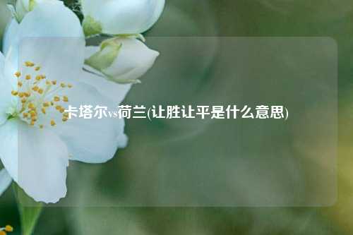 卡塔尔vs荷兰(让胜让平是什么意思)