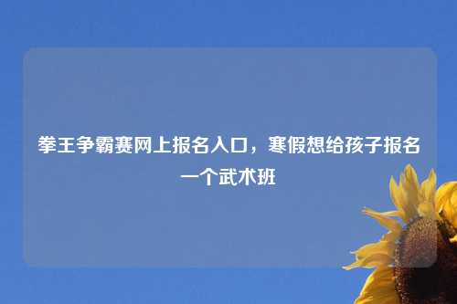 拳王争霸赛网上报名入口，寒假想给孩子报名一个武术班