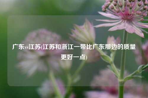 广东vs江苏(江苏和浙江一带比广东那边的质量更好一点)