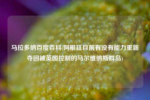 马拉多纳百度百科(阿根廷目前有没有能力重新夺回被英国控制的马尔维纳斯群岛)