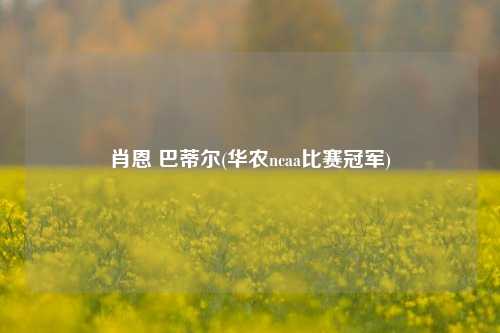 肖恩 巴蒂尔(华农ncaa比赛冠军)