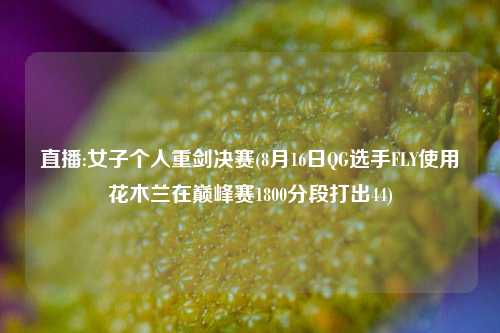 直播:女子个人重剑决赛(8月16日QG选手FLY使用花木兰在巅峰赛1800分段打出44)