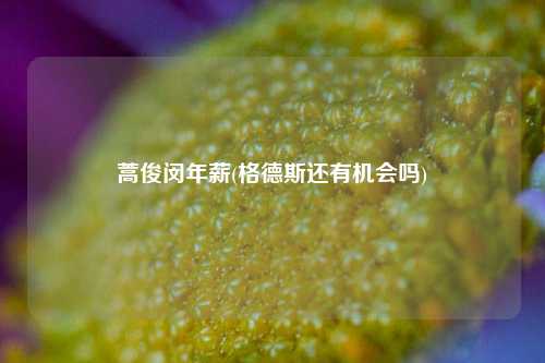 蒿俊闵年薪(格德斯还有机会吗)