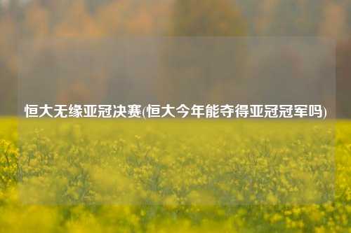 恒大无缘亚冠决赛(恒大今年能夺得亚冠冠军吗)