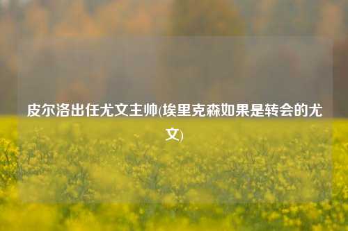 皮尔洛出任尤文主帅(埃里克森如果是转会的尤文)